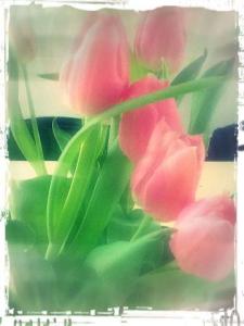 406388_422604257832296_747259816_n