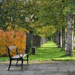 Haust Laugardalurinn