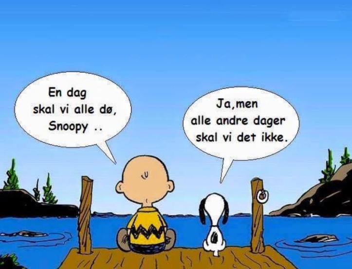 Alla daga... munum deyja